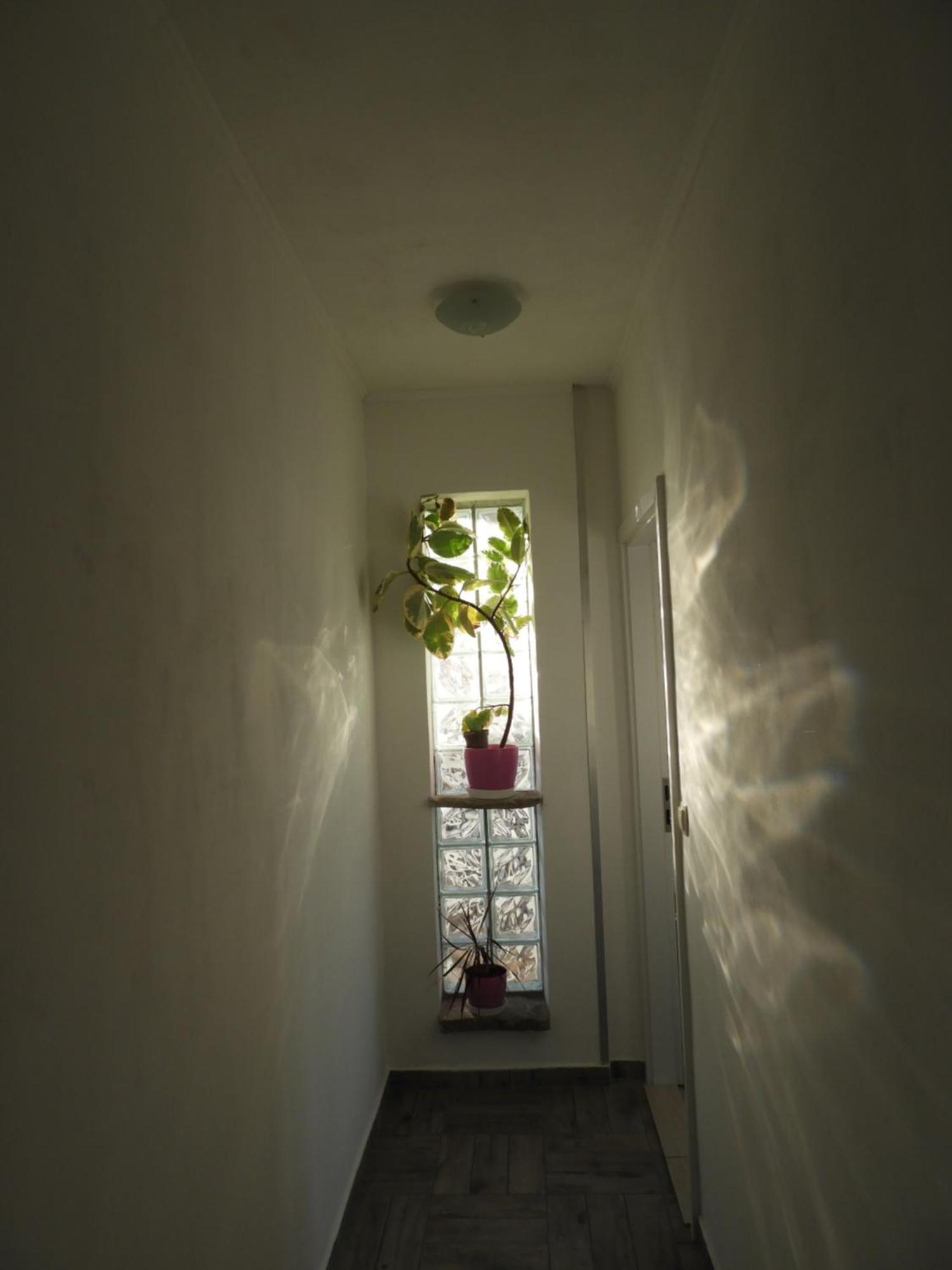 Apartman Pobuk Primošten Kültér fotó
